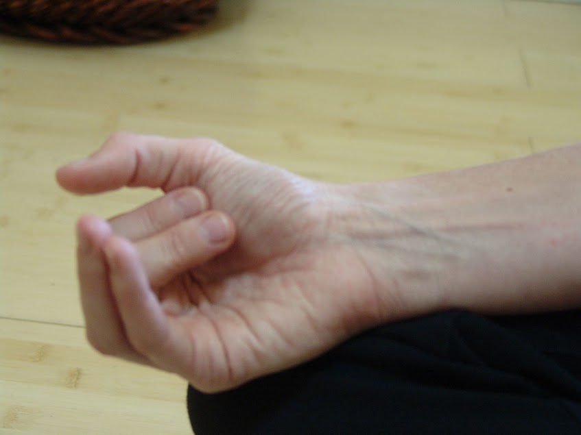 Vishnu Mudra or Nasagra Mudra: often used in Nadi Shodhana Pranayama Vishnu Mudra or Nasagra Mudra: often used in Nadi Shodhana Pranayama