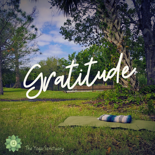 Cultivating Gratitude at Thanksgiving & All Year Through