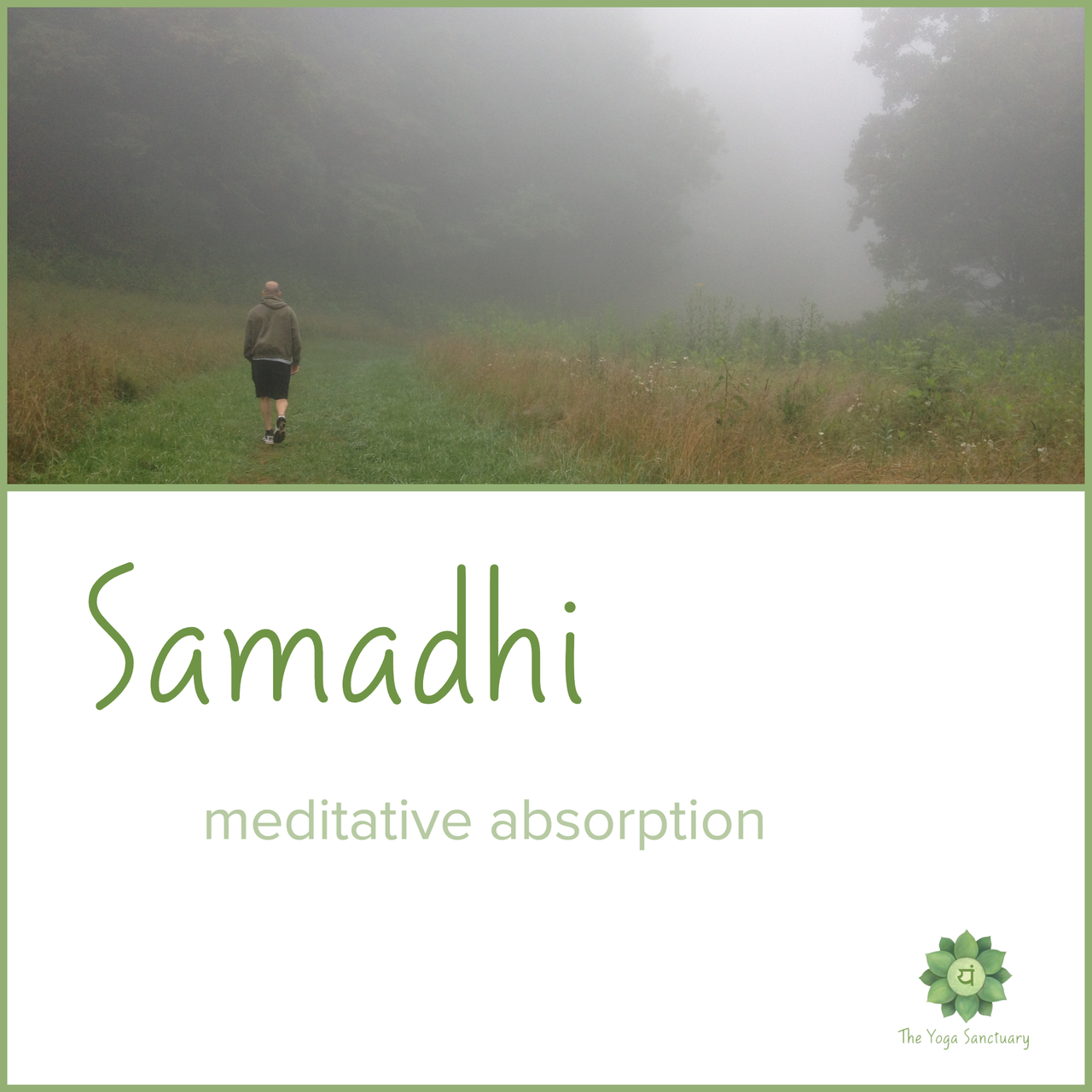 meditation-absorption 