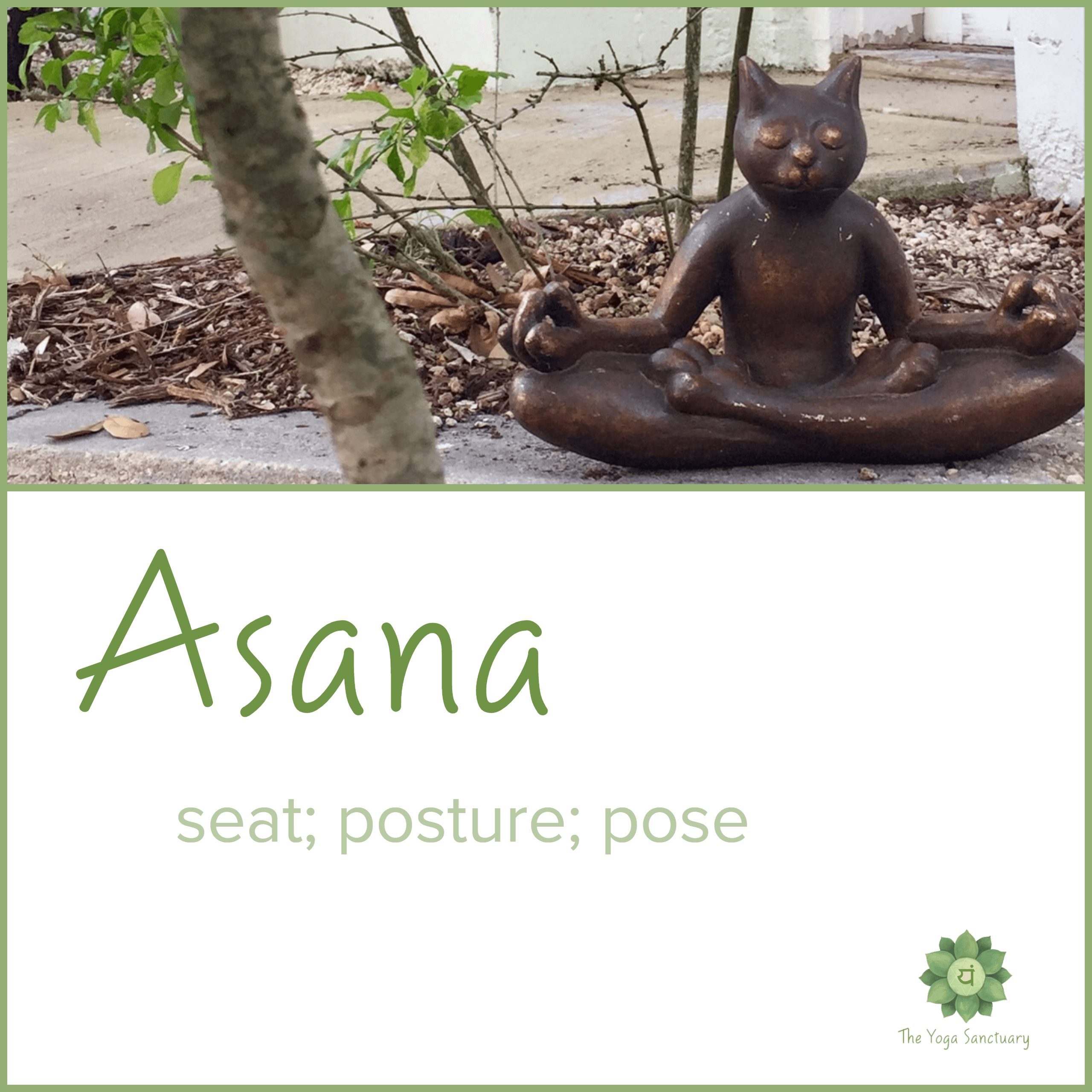 Asana: seat, posture, pose Asana: seat, posture, pose. A statue image of a kitty in a seated posture at The Yoga Sanctuary in Downtown Punta Gorda, Florida