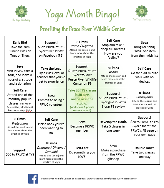 Yoga Month Bingo Board 2022