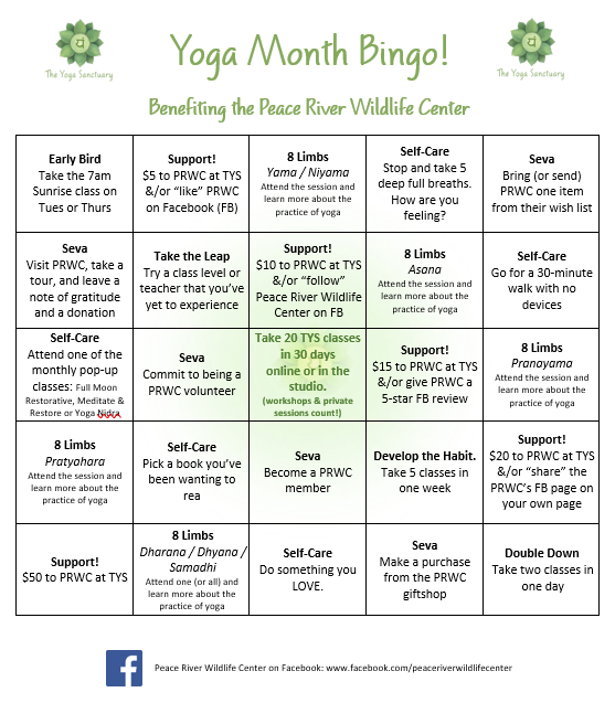 Yoga Month Bingo Board 2022 Yoga Month Bingo Board 2022