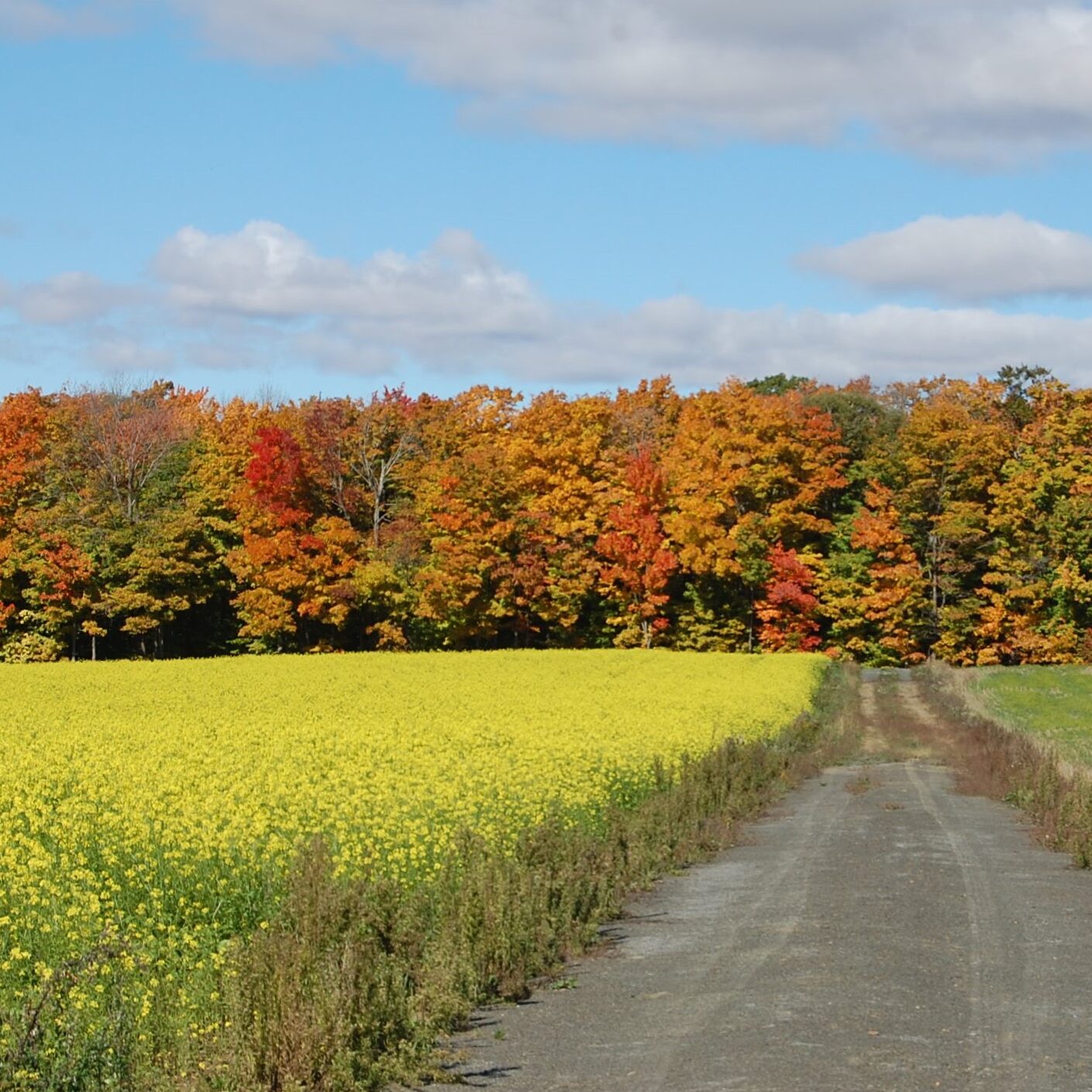 A Lovely Fall Day