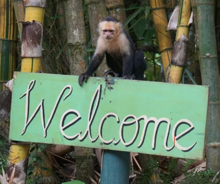 Monkey holding welcome sign at the Costa Rica Yoga retreat.