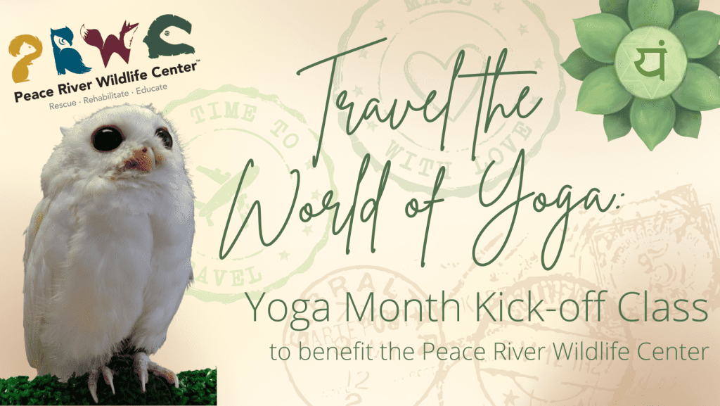 Yoga Month Kick Off Class - Aug 31 2024